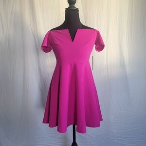 Vibrant Pink Skater Dress